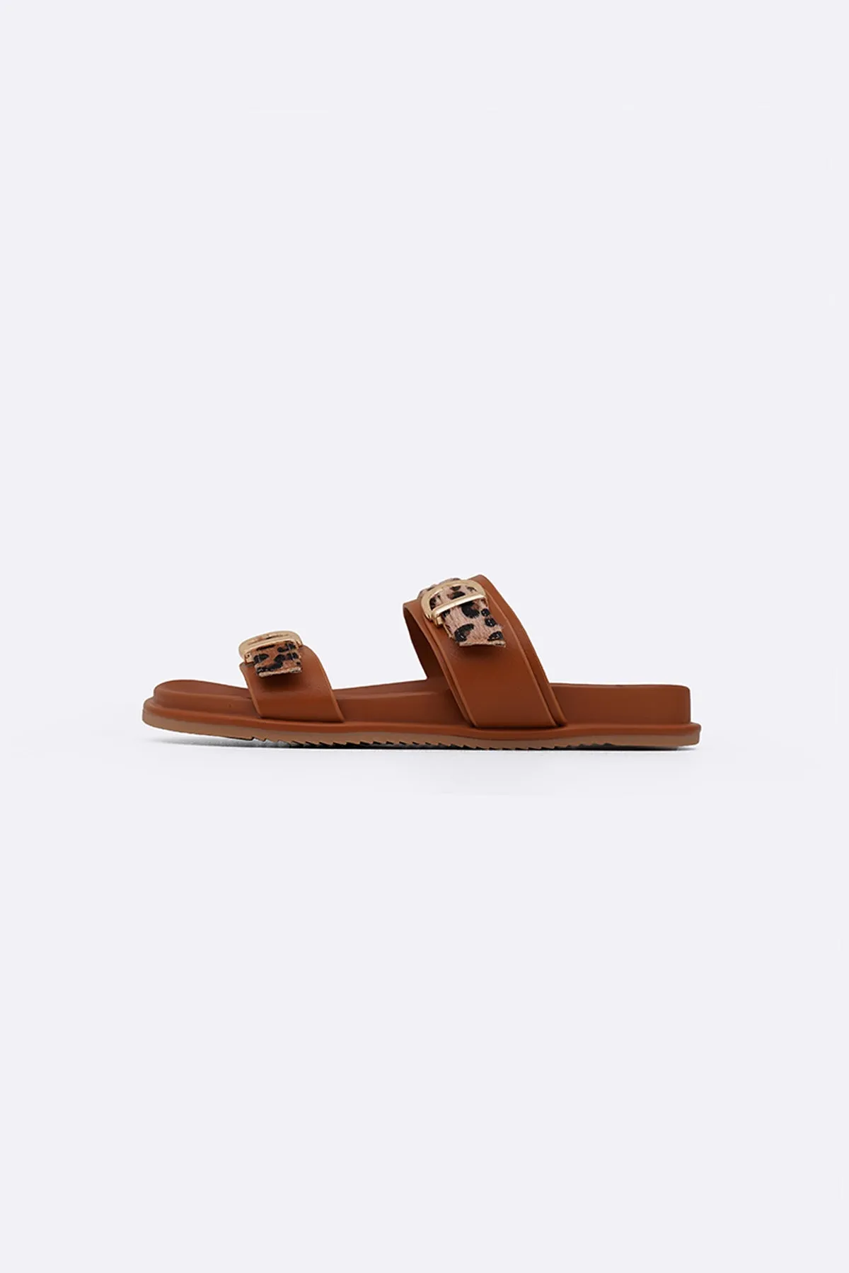 ALL DAY ANIMAL SLIDES