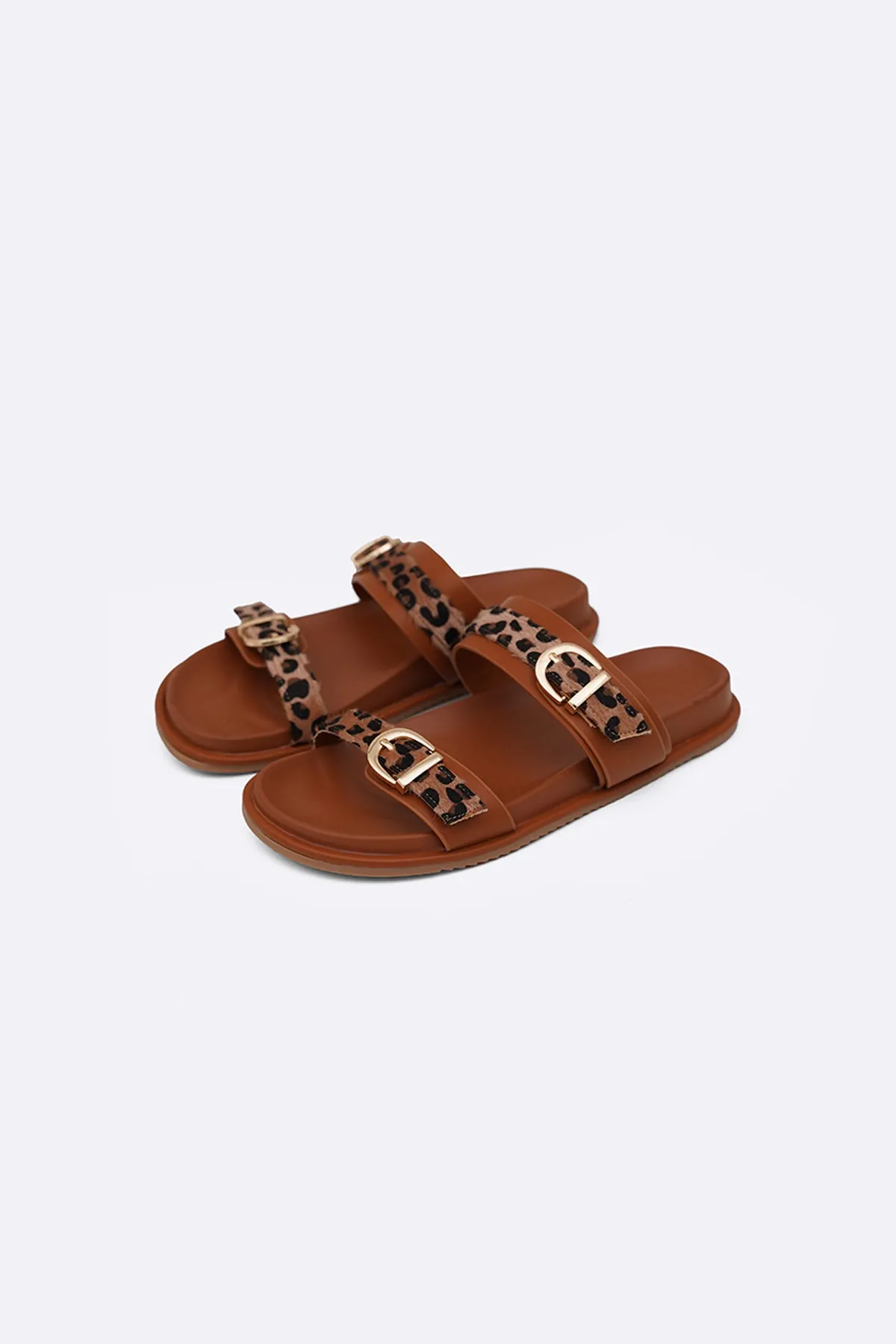 ALL DAY ANIMAL SLIDES