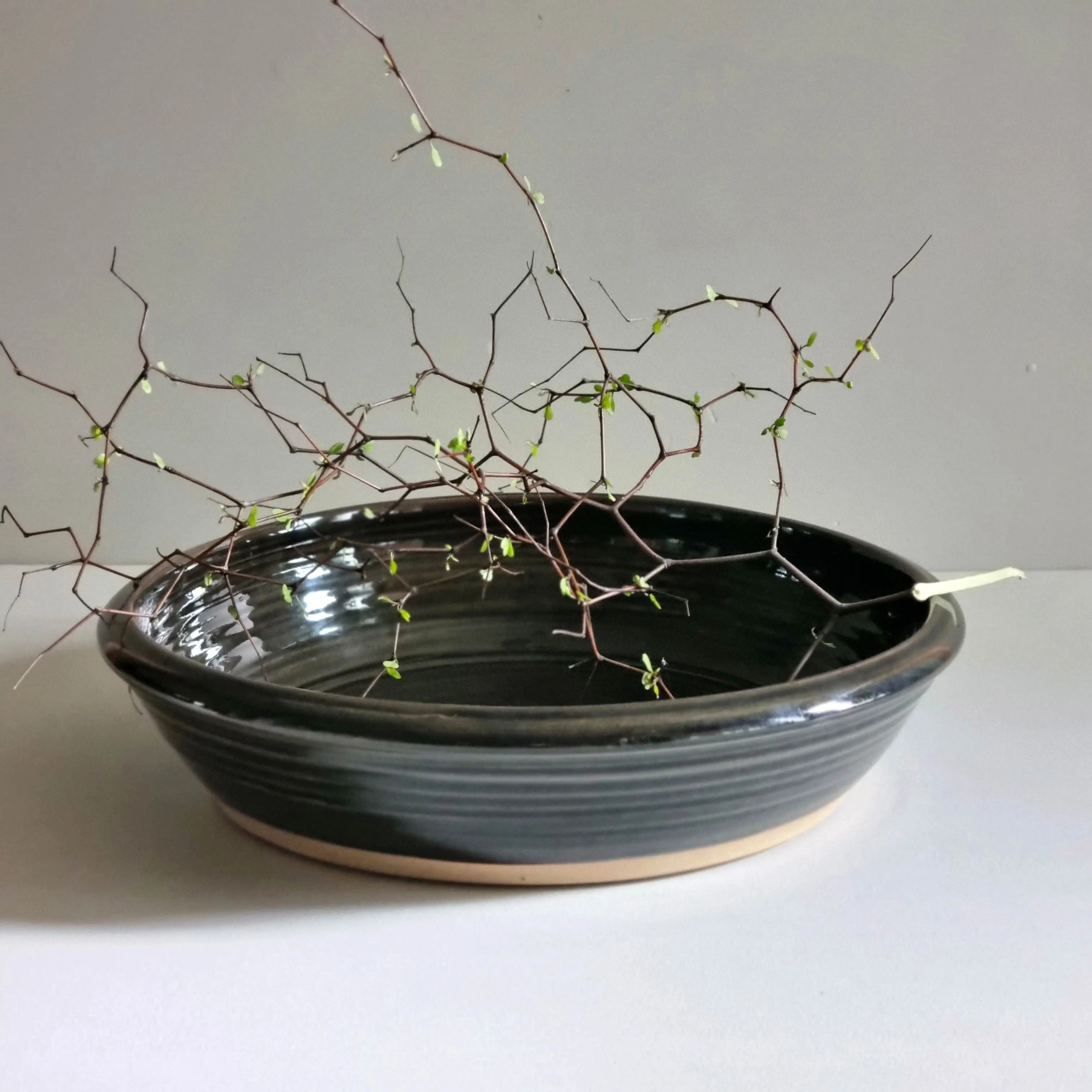Open Bowl