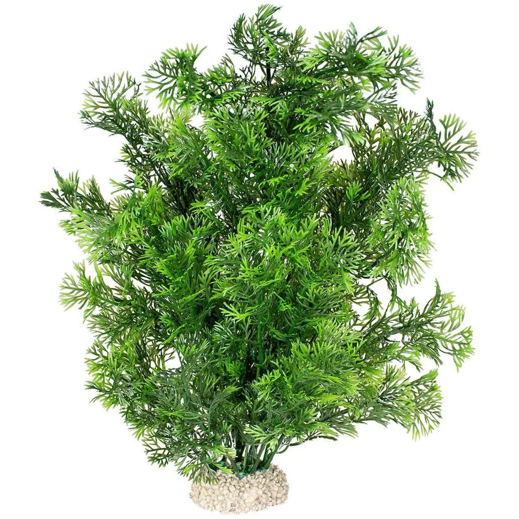 Plant Phoenix L - Height 30Cm Dark Green