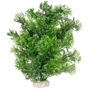 Plant Phoenix L - Height 30Cm Dark Green