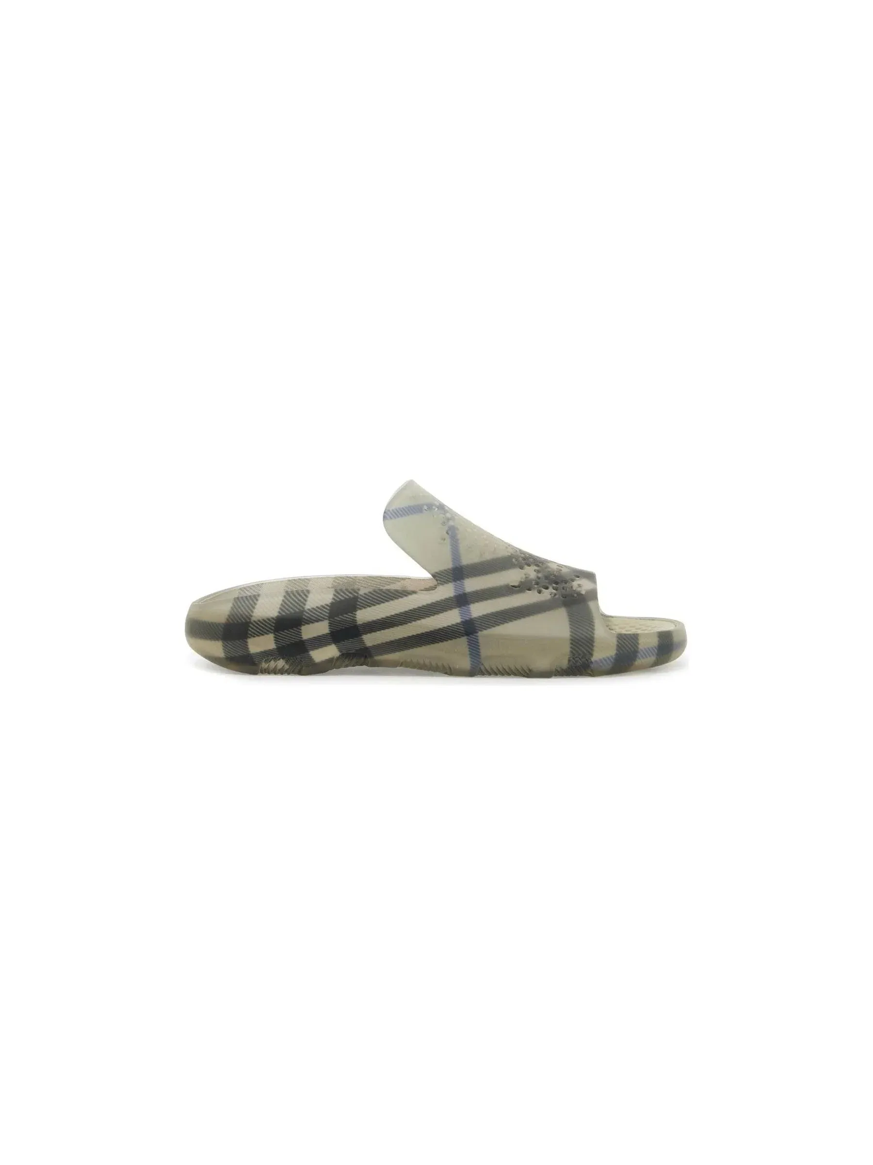 Stingray Slides Check