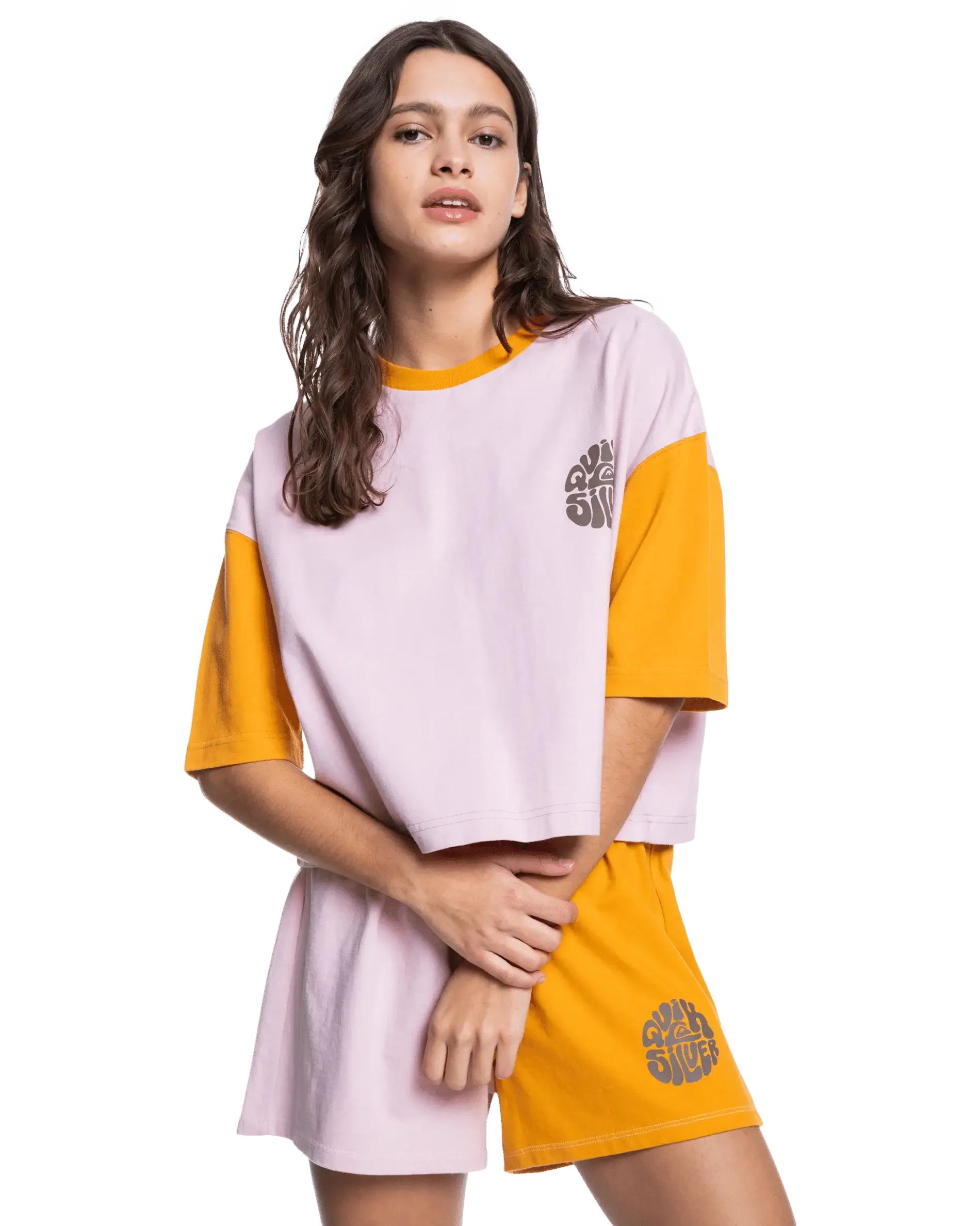 Vintage Colorblock T-Shirt in Bleached Mauve