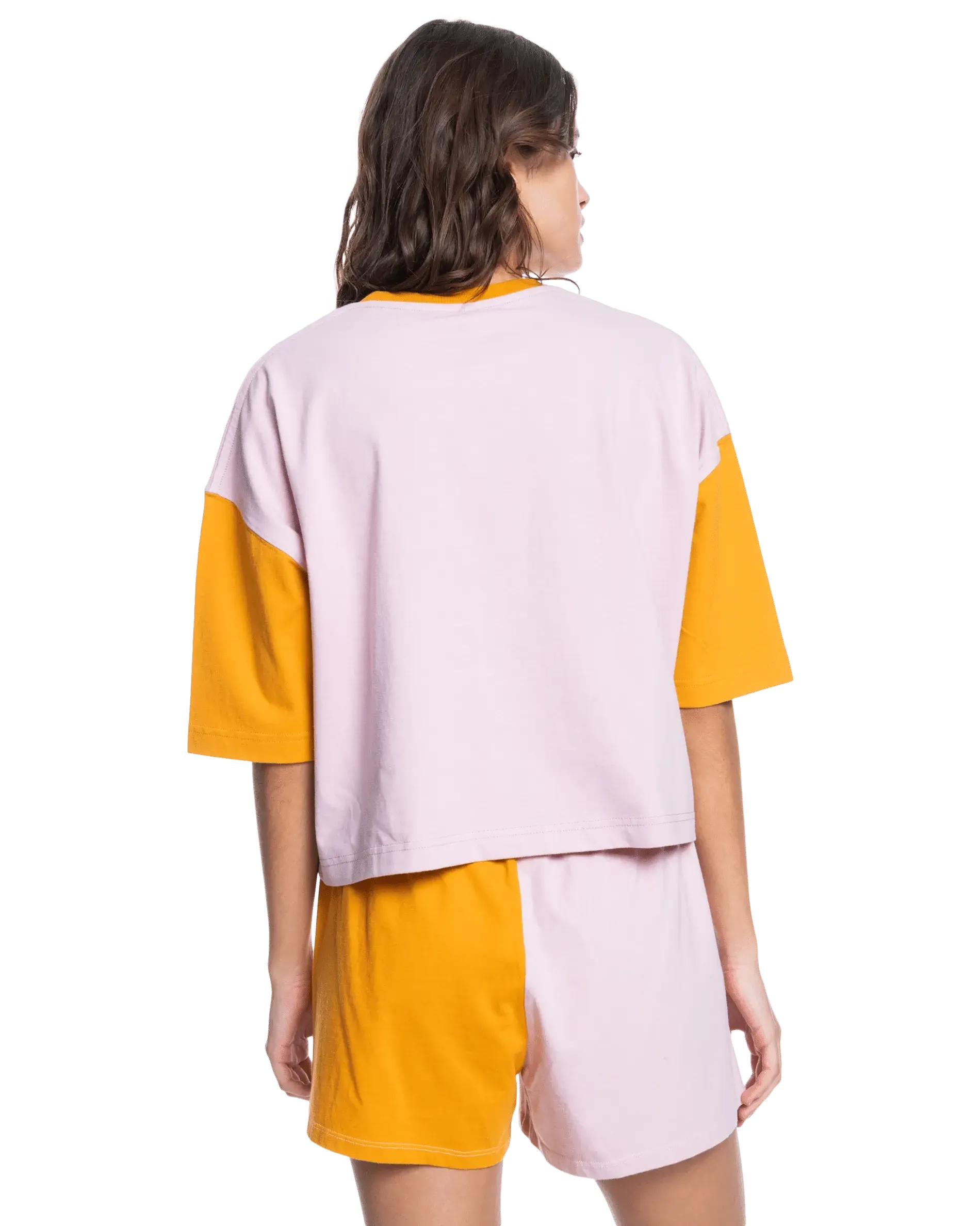 Vintage Colorblock T-Shirt in Bleached Mauve