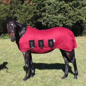 Winter Under Rug